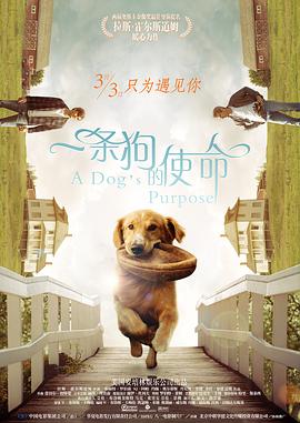 www.精品视频